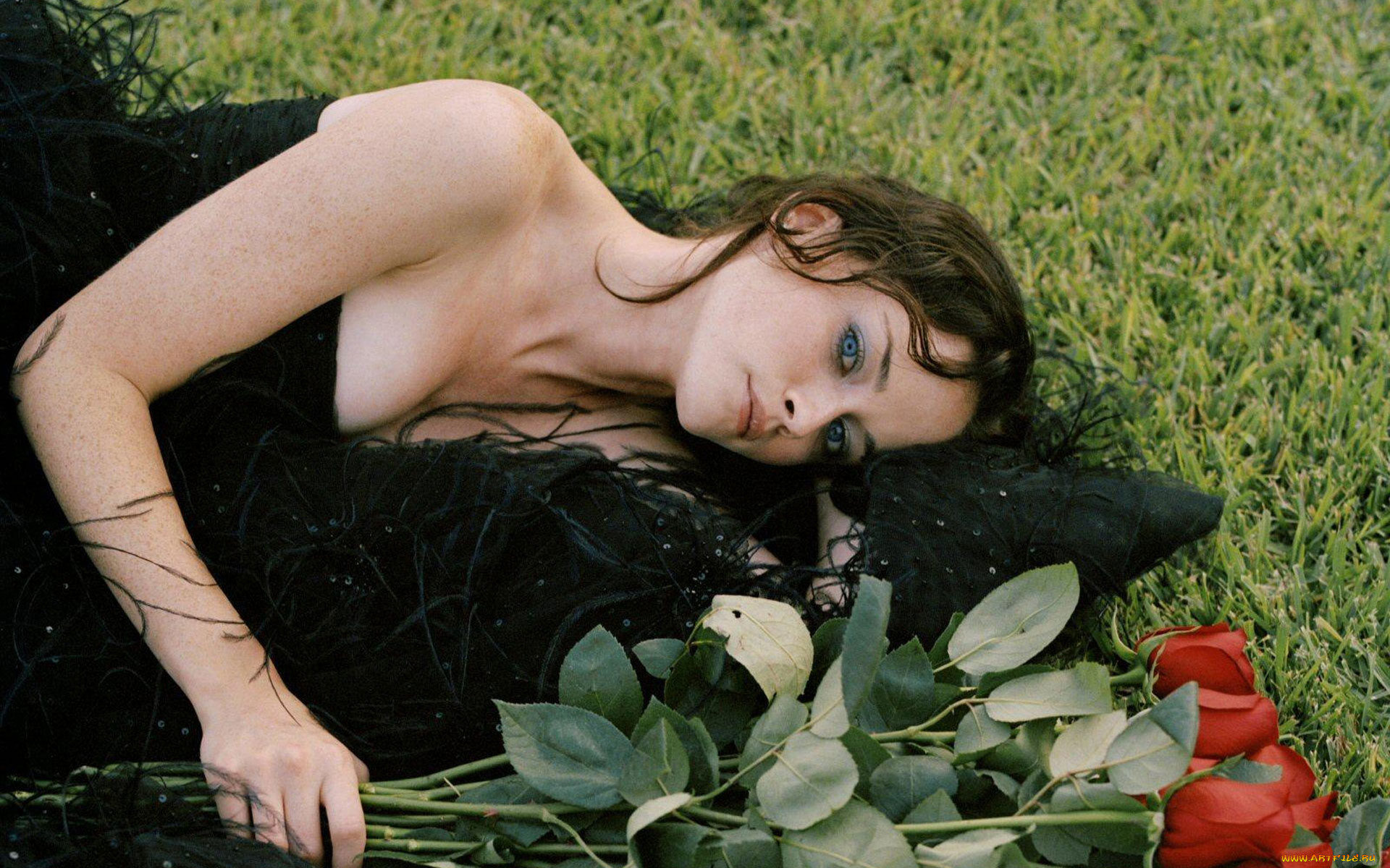 Alexis Bledel, девушки, , , трава, розы.